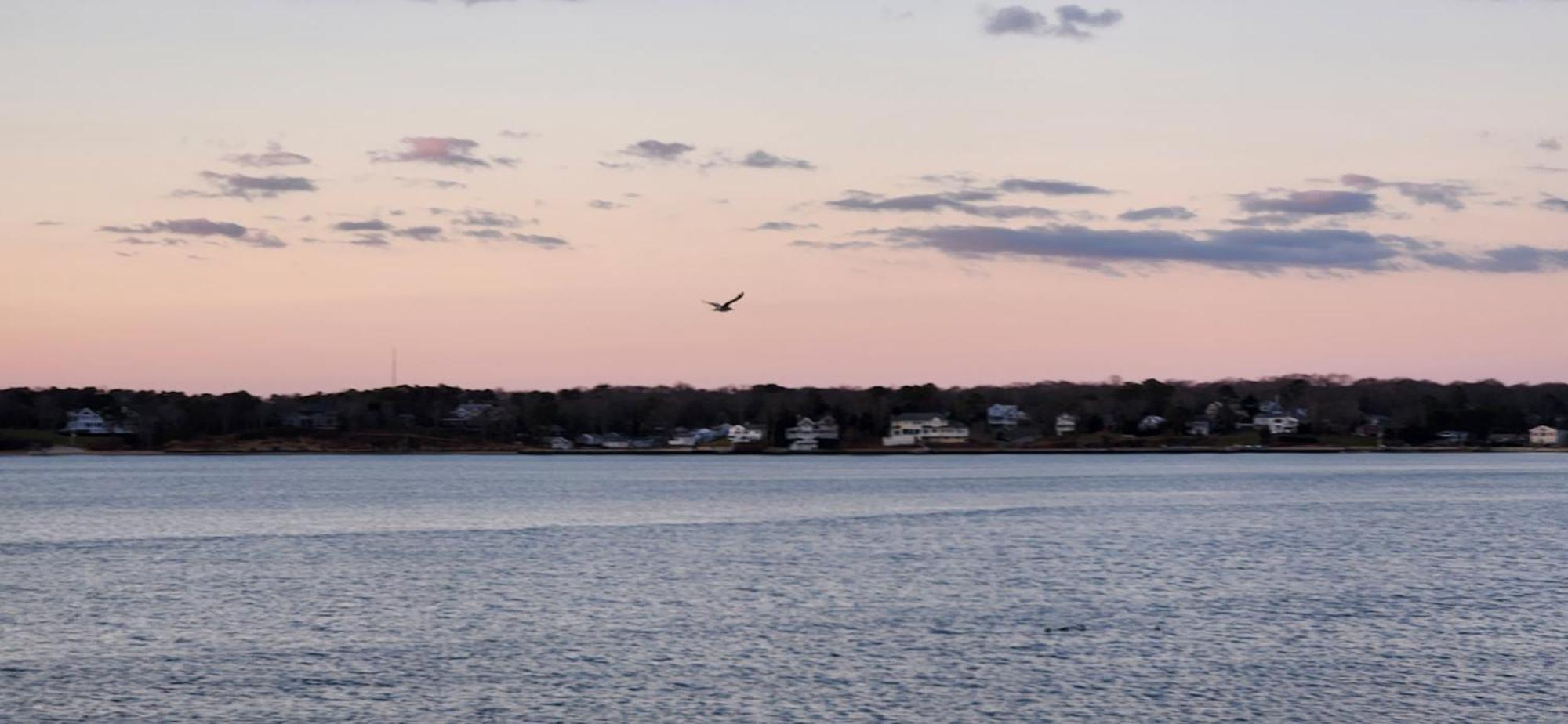 Motel Ocean View Terrace Hampton Bays Exteriér fotografie